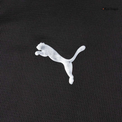 Heren Manchester City Uit Lange Mouwen Voetbalshirt 2025/26